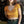 V Neck Crop Tee: White