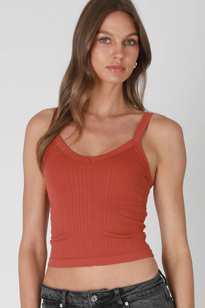 Deep V Neck Ribbed Top: Bluebird